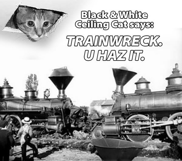 train-wreck-cat_zps76169302.jpg