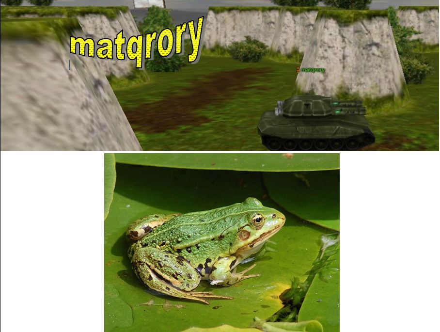 yoyoyo.jpg