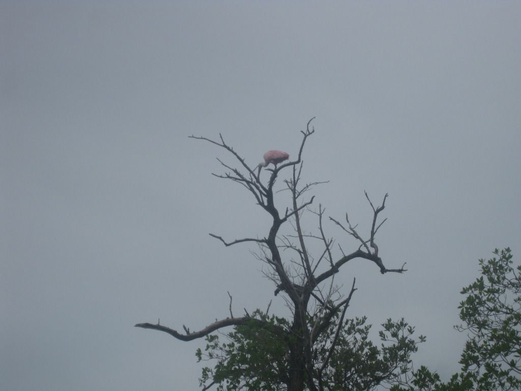 fishing068.jpg