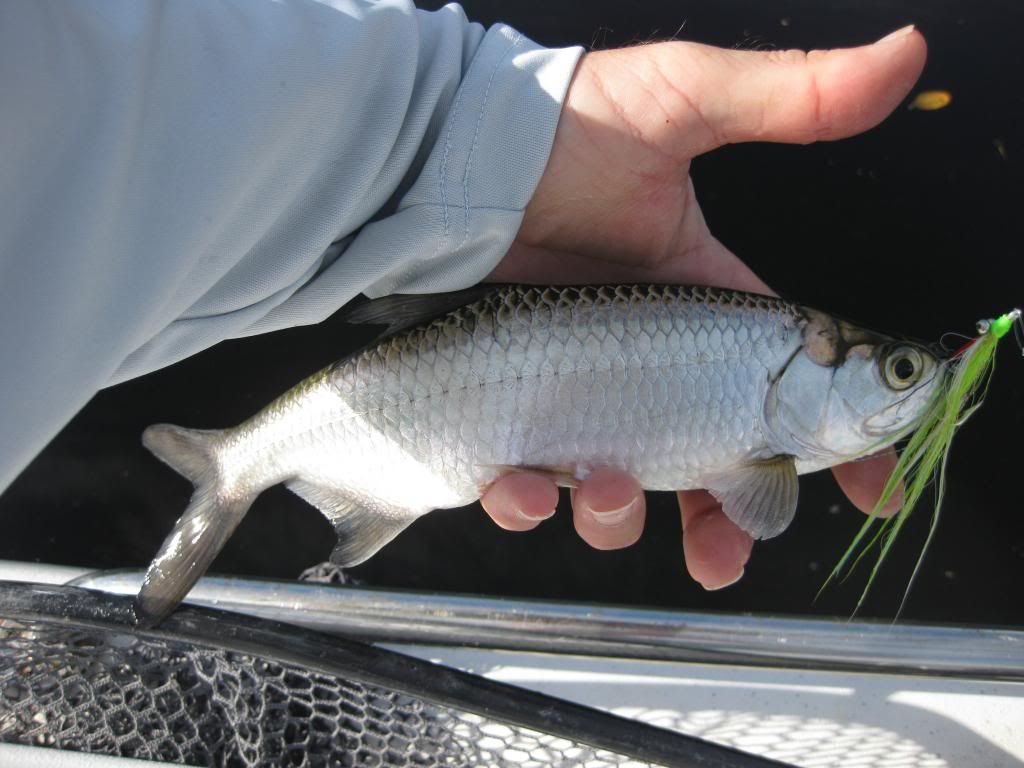 fishing094_zps260bc787.jpg