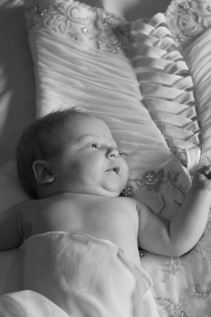 photo AliviaMortonMaternity-HalfResolutionPreviews-00191_zpsca670a69.jpg