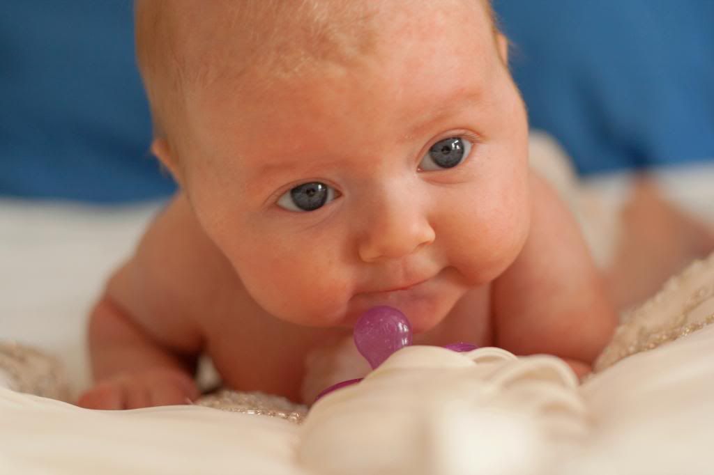 photo AliviaMortonMaternity-HalfResolutionPreviews-01041_zpsda0c769f.jpg