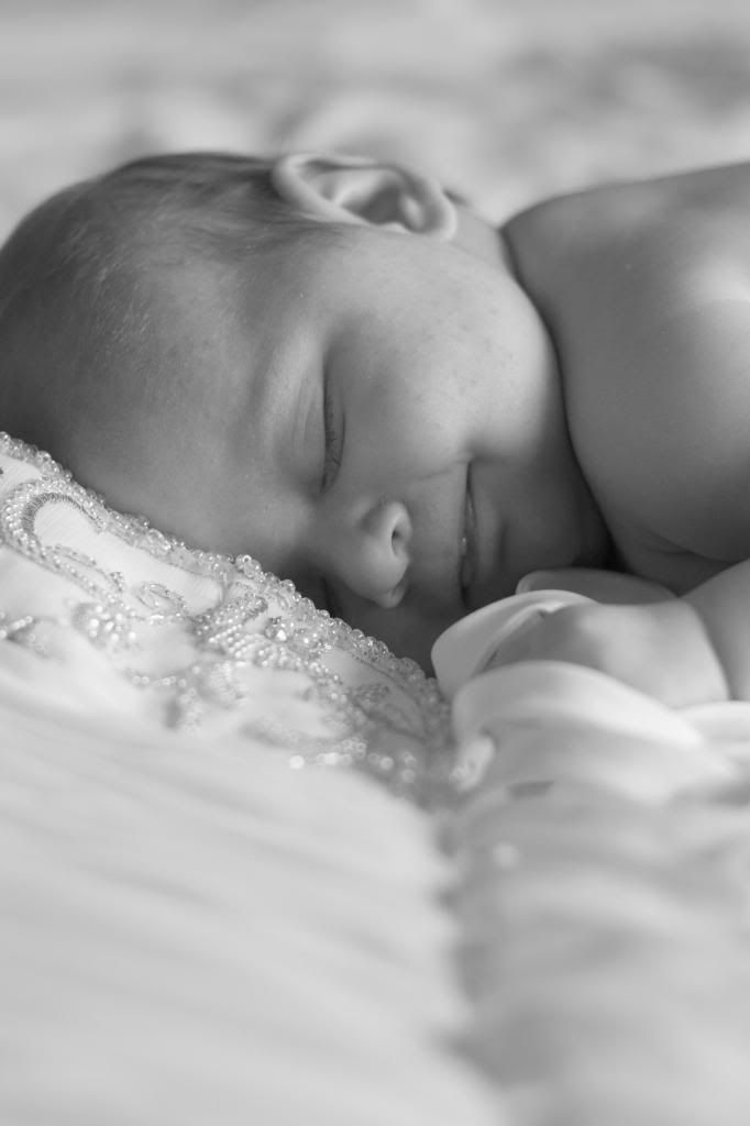 photo AliviaMortonMaternity-HalfResolutionPreviews-01521_zps617fec51.jpg