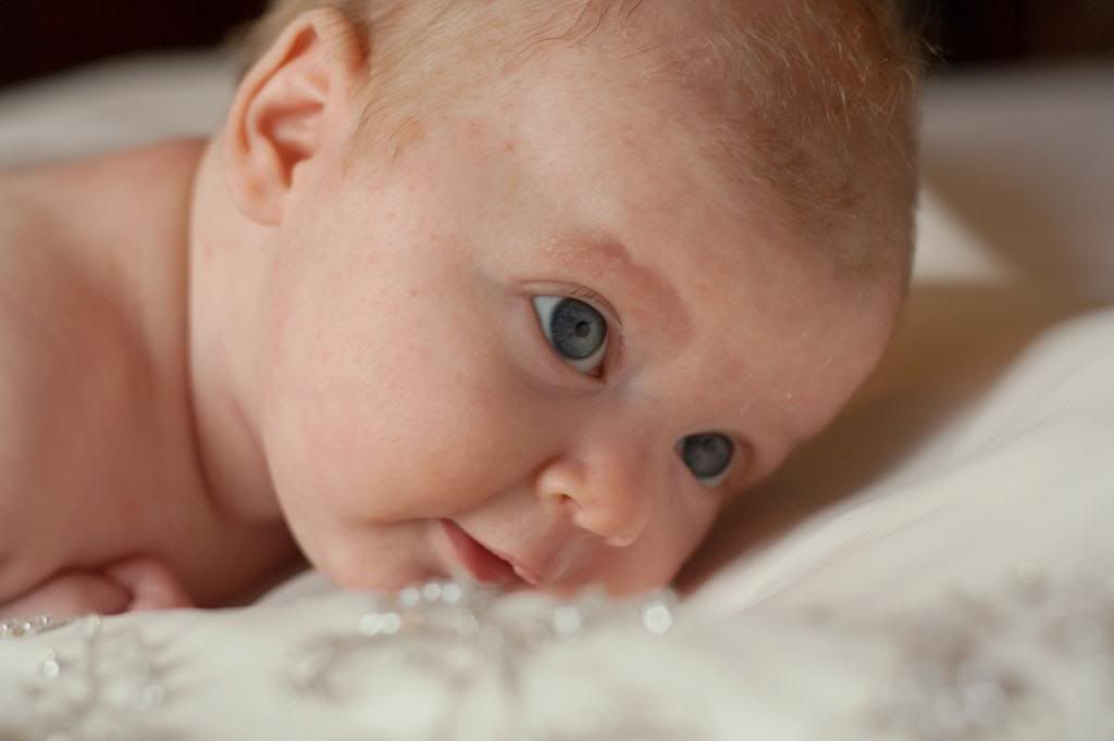 photo AliviaMortonMaternity-HalfResolutionPreviews-99831_zps36e47f71.jpg