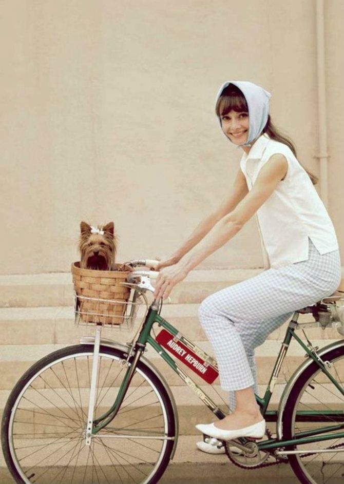 audreybicycle