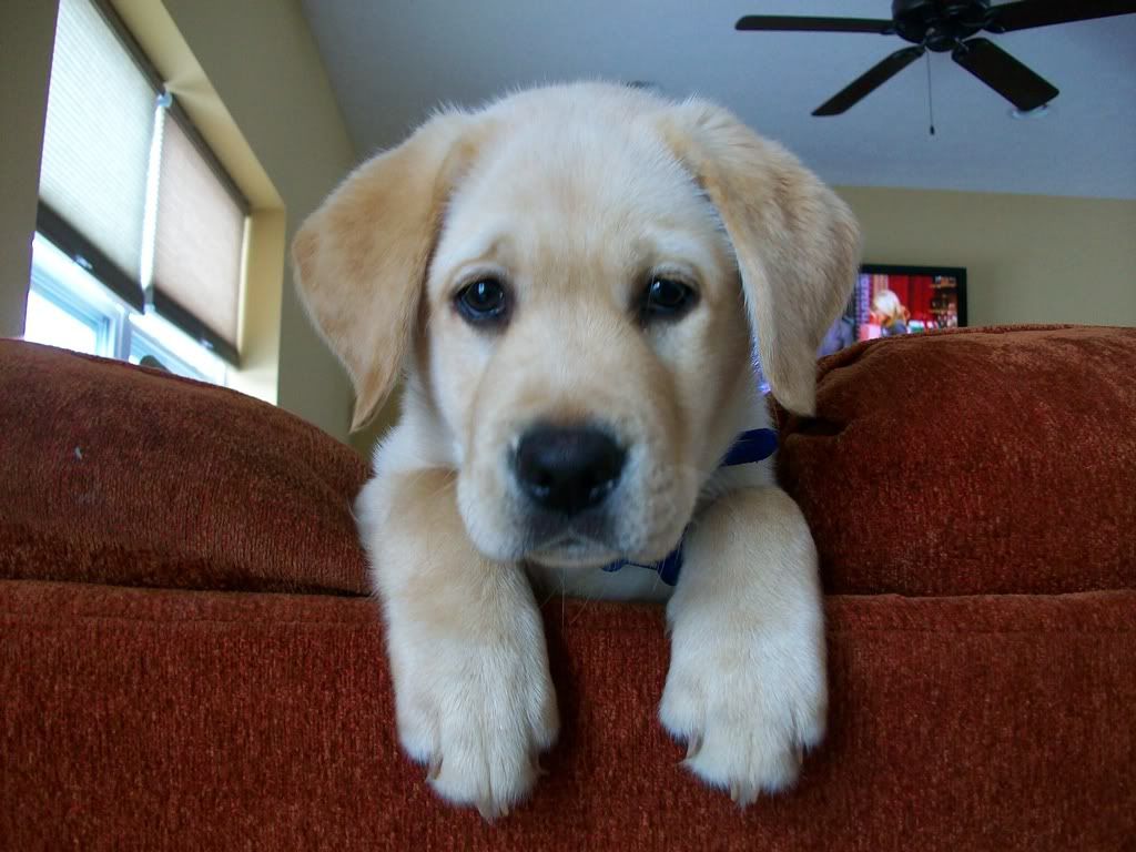 Photobucket Pictures, Images and Photos