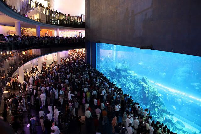 Dubai+mall+aquarium+leak+video