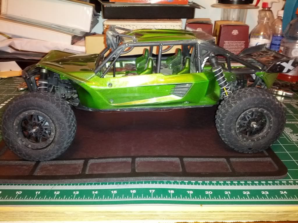 exo terra buggy for sale