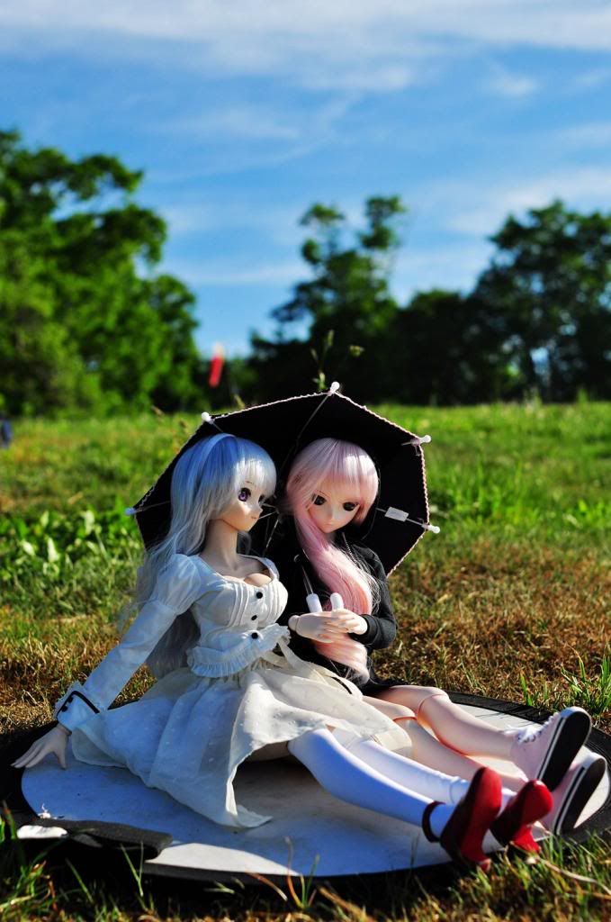photo DSC_0174_526F672C_zps2ae6acc5.jpg