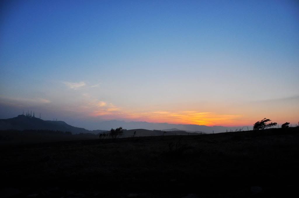 photo DSC_0068_526F672C_zps1dd42db5.jpg