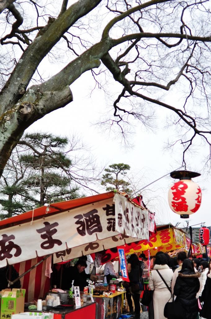 photo DSC_0486_526F672C_zps0f37b1f1.jpg