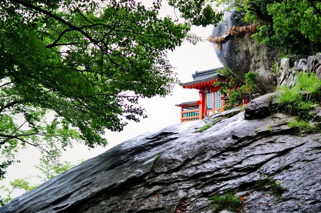 photo DSC_0679_526F672C_zps1c6d2ba9.jpg
