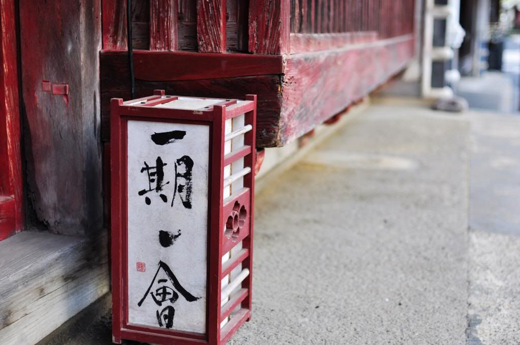 photo DSC_1178_526F672C_zps5f1ca2e3.jpg