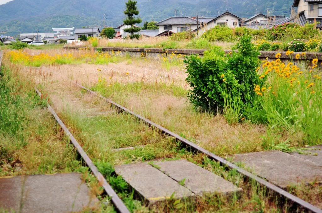 photo DSC_2078_526F672C_zps461b2be6.jpg