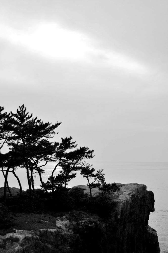 photo DSC_2089_526F672C_zps68feb93a.jpg