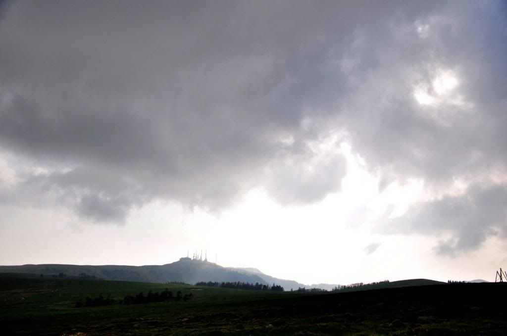 photo DSC_2111_526F672C_zps42d34fab.jpg