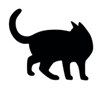 photo cats_4_zps1e336e6a.jpg
