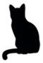 photo cats_5_zps0cf585c2.jpg