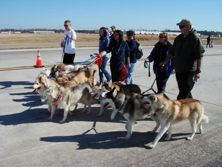 IMAGE: http://i1093.photobucket.com/albums/i432/GSDoberman86/race3.jpg