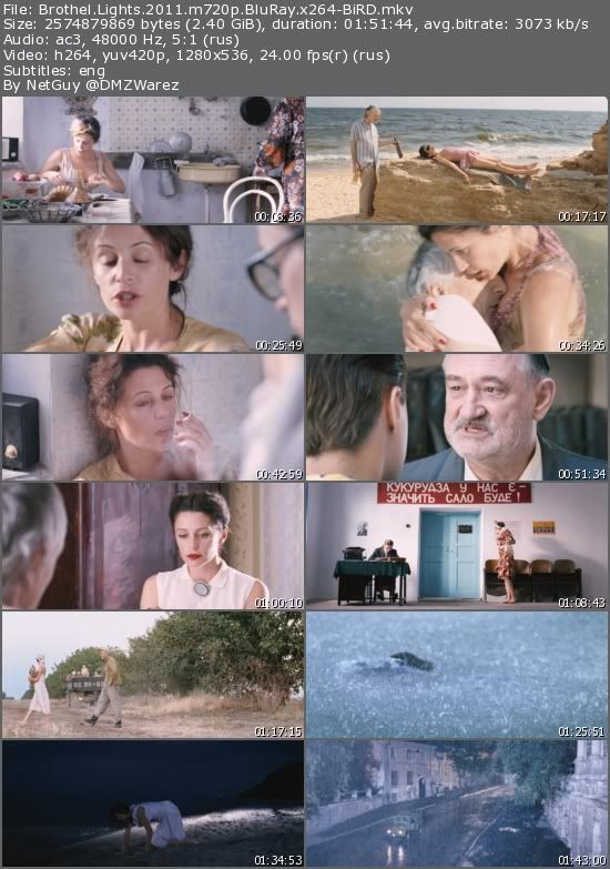 Brothel Lights (2011) m720p BluRay x264-BiRD Brothel Lights (2011) m720p BluRay x264-BiRD