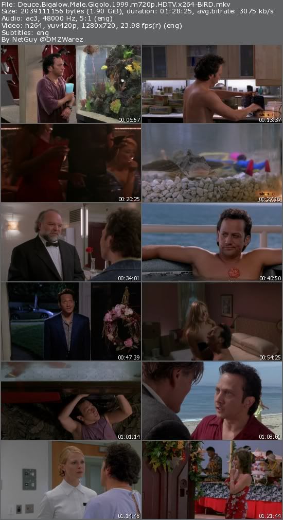 Deuce Bigalow Male Gigolo (1999) m720p HDTV x264-BiRD Deuce Bigalow Male Gigolo (1999) m720p HDTV x264-BiRD