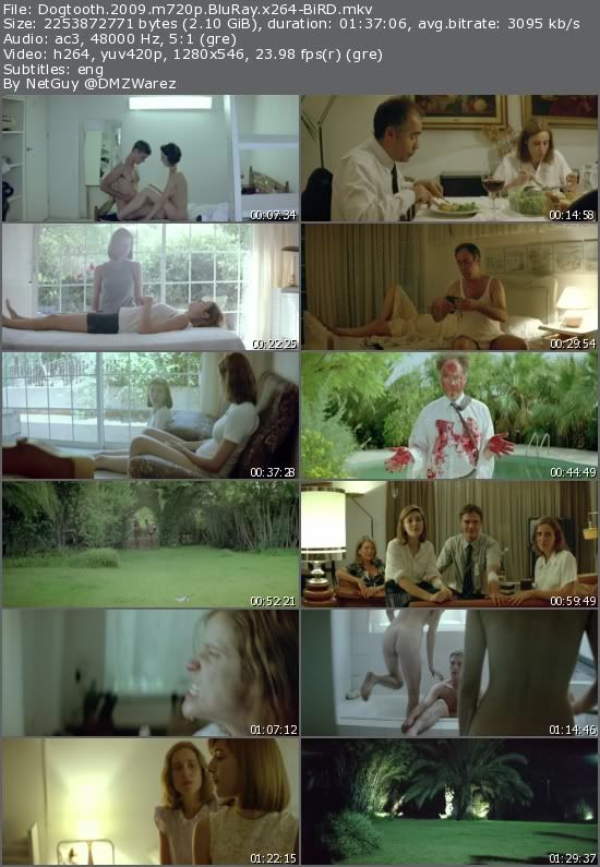 Dogtooth (2009) m720p BluRay x264-BiRD Dogtooth (2009) m720p BluRay x264-BiRD