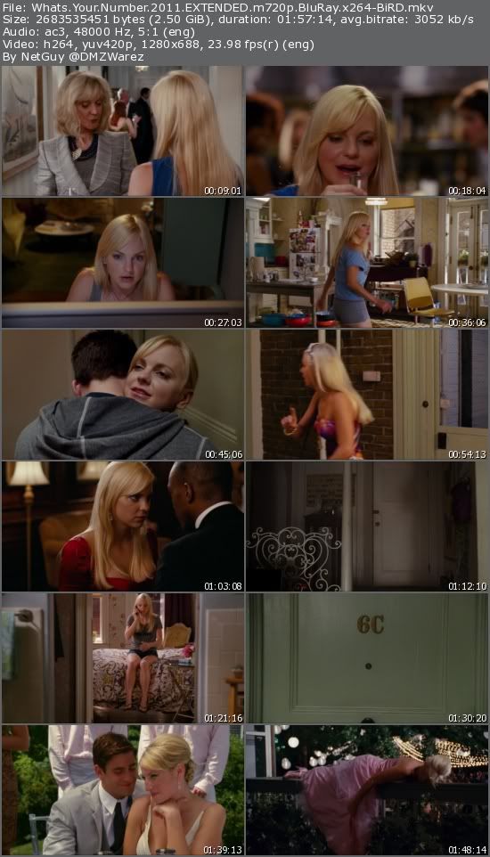 What's Your Number (2011) EXTENDED m720p BluRay x264-BiRD What's Your Number (2011) EXTENDED m720p BluRay x264-BiRD