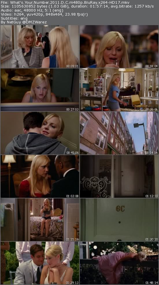 What's Your Number (2011) D.C m480p BluRay x264-HD17 What's Your Number (2011) D.C m480p BluRay x264-HD17