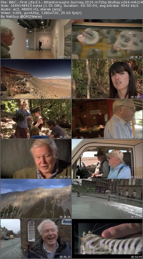 BBC First Life E3: Attenboroughs Journey (2010) m720p BluRay x264-m4c14k BBC First Life E3: Attenboroughs Journey (2010) m720p BluRay x264-m4c14k