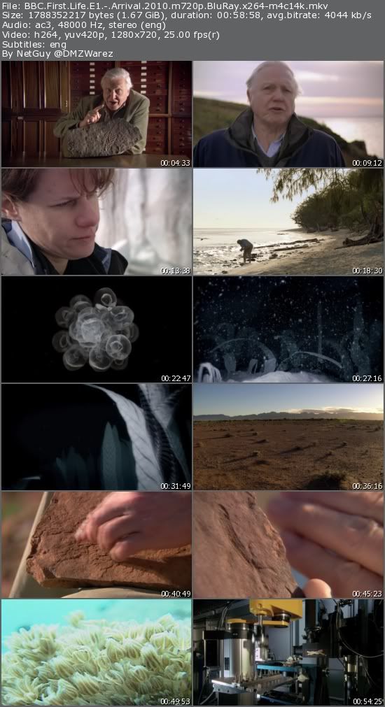 BBC First Life E1: Arrival (2010) m720p BluRay x264-m4c14k BBC First Life E1: Arrival (2010) m720p BluRay x264-m4c14k