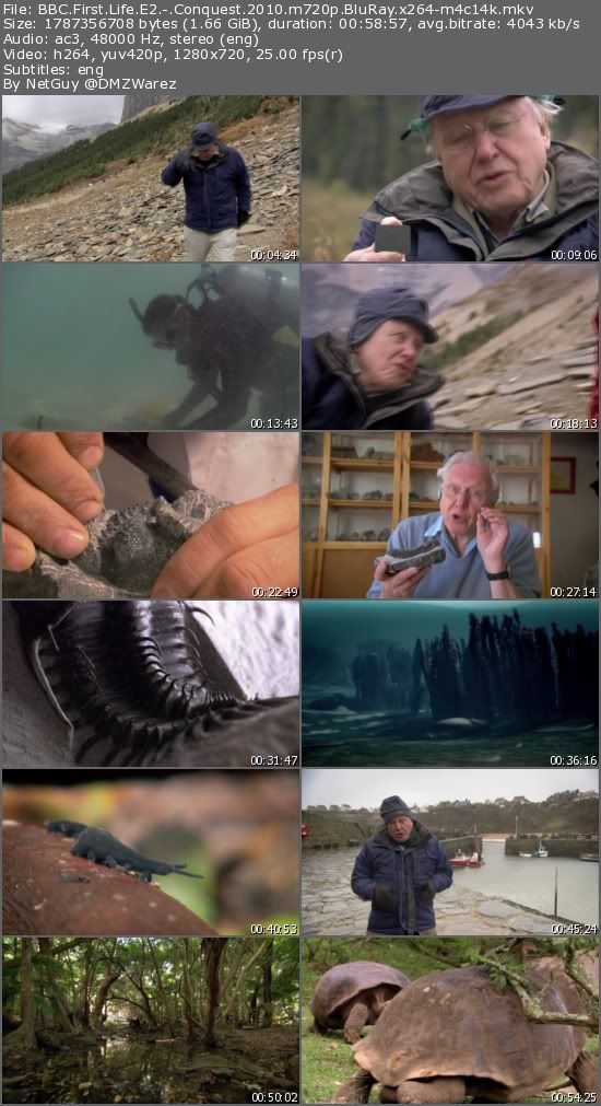 BBC First Life E2: Conquest (2010) m720p BluRay x264-m4c14k BBC First Life E2: Conquest (2010) m720p BluRay x264-m4c14k