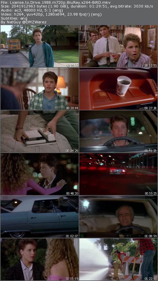 License to Drive (1988) m720p BluRay x264-BiRD License to Drive (1988) m720p BluRay x264-BiRD