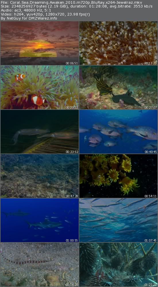 Coral Sea Dreaming Awaken (2010) m720p BluRay x264-Jewelraz Coral Sea Dreaming Awaken (2010) m720p BluRay x264-Jewelraz