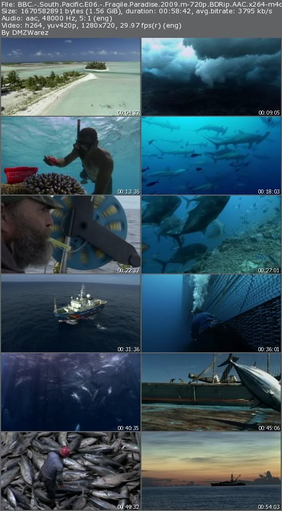 BBC - South Pacific E06 - Fragile Paradise (2009) m-720p BDRip AAC x264-m4c14k BBC - South Pacific E06 - Fragile Paradise (2009) m-720p BDRip AAC x264-m4c14k