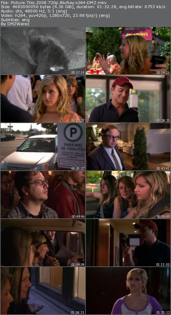 Picture This (2008) 720p BluRay x264-DMZ Picture This (2008) 720p BluRay x264-DMZ