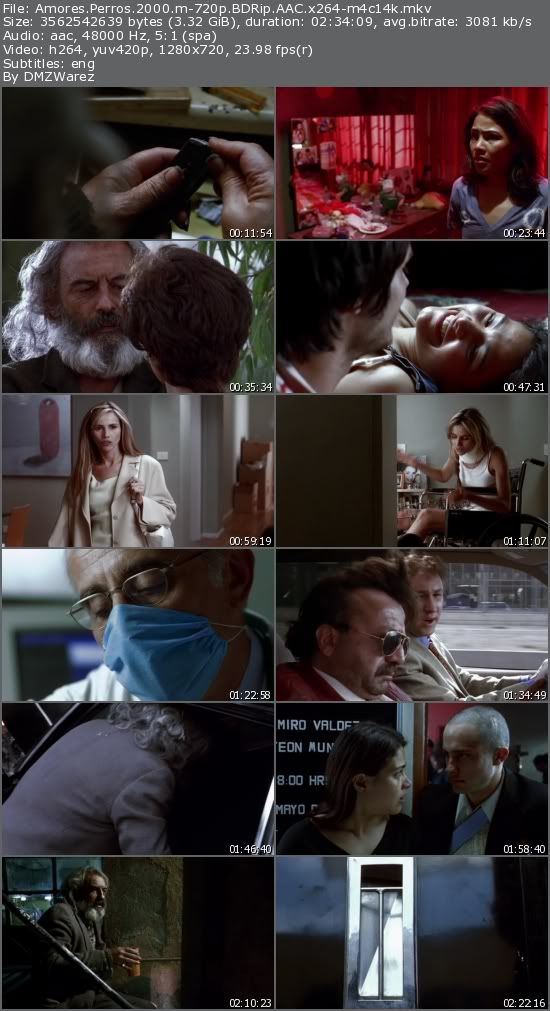 Amores Perros (2000) m-720p BDRip AAC x264-m4c14k Amores Perros (2000) m-720p BDRip AAC x264-m4c14k