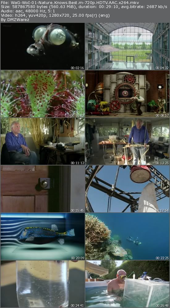 Wallace and Gromit's World of Invention (2010) m-720p HDTVRip AAC x264 - m4c14k Wallace and Gromit's World of Invention (2010) m-720p HDTVRip AAC x264 - m4c14k