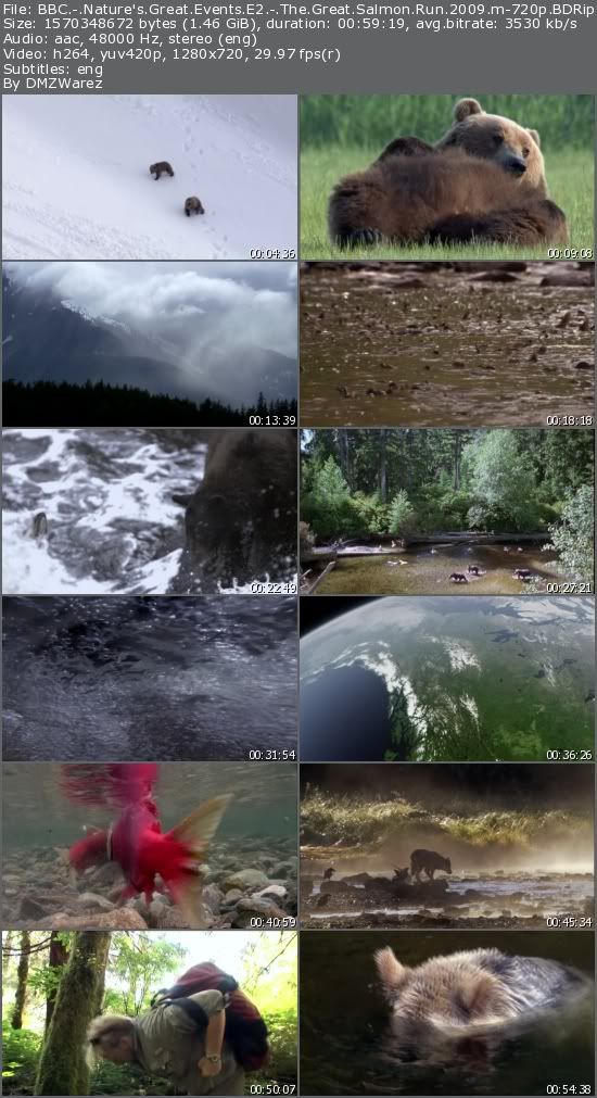 BBC - Nature's Great Events E2 - The Great Salmon Run (2009) m-720p BDRip AAC x264-m4c14k BBC - Nature's Great Events E2 - The Great Salmon Run (2009) m-720p BDRip AAC x264-m4c14k