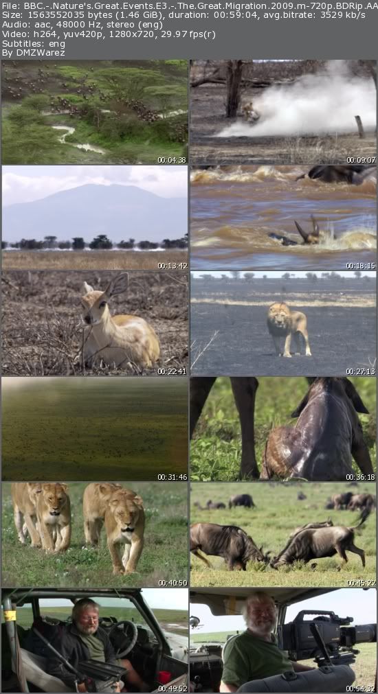 BBC - Nature's Great Events E3 - The Great Migration (2009) m-720p BDRip AAC x264-m4c14k BBC - Nature's Great Events E3 - The Great Migration (2009) m-720p BDRip AAC x264-m4c14k