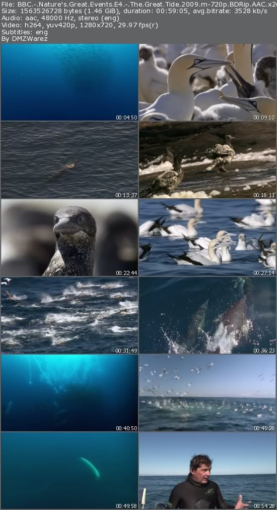 BBC - Nature's Great Events E4 - The Great Tide (2009) m-720p BDRip AAC x264-m4c14k BBC - Nature's Great Events E4 - The Great Tide (2009) m-720p BDRip AAC x264-m4c14k