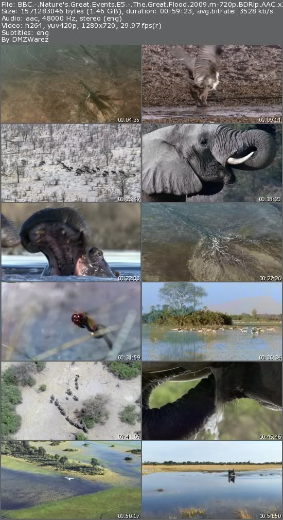BBC - Nature's Great Events E5 - The Great Flood (2009) m-720p BDRip AAC x264-m4c14k BBC - Nature's Great Events E5 - The Great Flood (2009) m-720p BDRip AAC x264-m4c14k