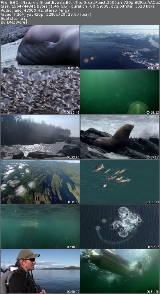 BBC - Nature's Great Events E6 - The Great Feast (2009) m-720p BDRip AAC x264-m4c14k BBC - Nature's Great Events E6 - The Great Feast (2009) m-720p BDRip AAC x264-m4c14k
