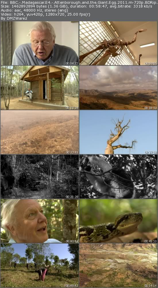 BBC - Madagascar E4: Attenborough and the Giant Egg (2011) m-720p BDRip AAC x264-m4c14k BBC - Madagascar E4: Attenborough and the Giant Egg (2011) m-720p BDRip AAC x264-m4c14k