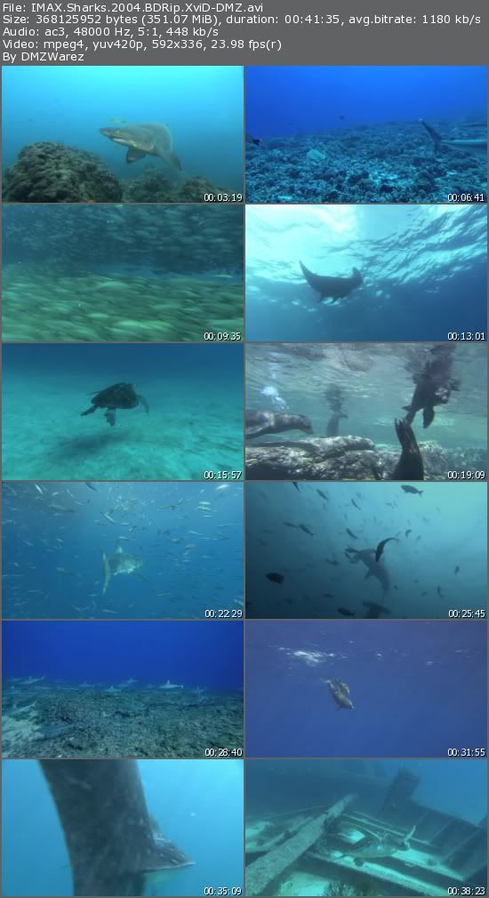 IMAX Sharks (2004) BDRip XviD-DMZ IMAX Sharks (2004) BDRip XviD-DMZ
