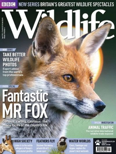 BBC Wildlife - April 2011-P2P