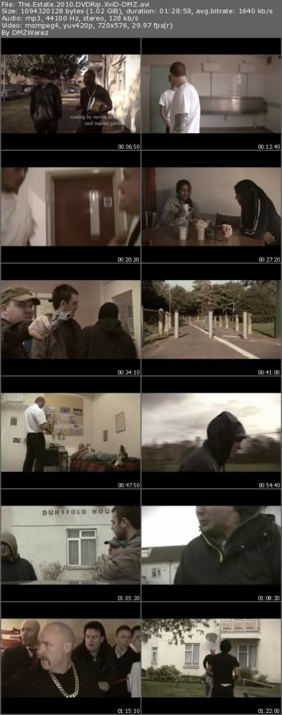 The Estate (2010) DVDRip XviD-DMZ The Estate (2010) DVDRip XviD-DMZ