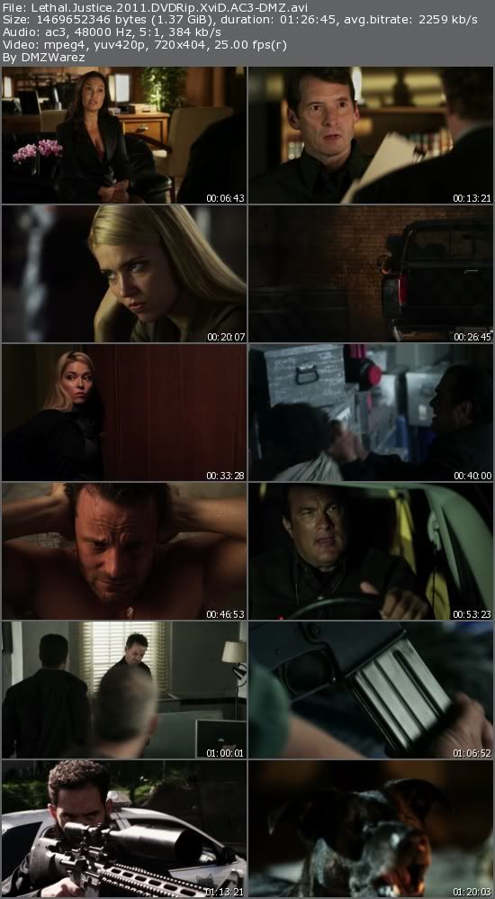 Lethal Justice (2011) DVDRip XviD AC3-DMZ Lethal Justice (2011) DVDRip XviD AC3-DMZ