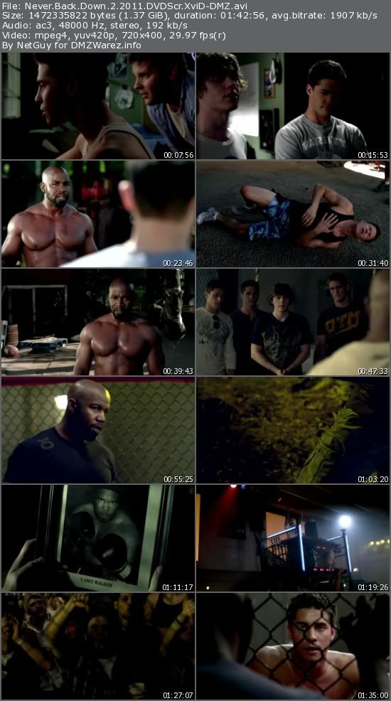 Never Back Down 2 (2011) DVDScr XviD-DMZ Never Back Down 2 (2011) DVDScr XviD-DMZ