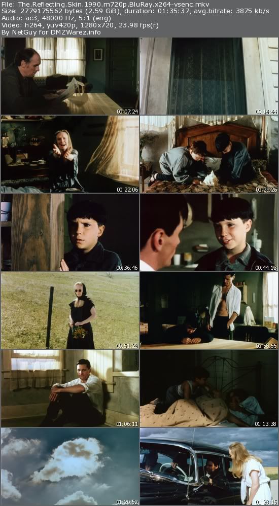 The Reflecting Skin (1990) m720p BluRay x264-vsenc The Reflecting Skin (1990) m720p BluRay x264-vsenc