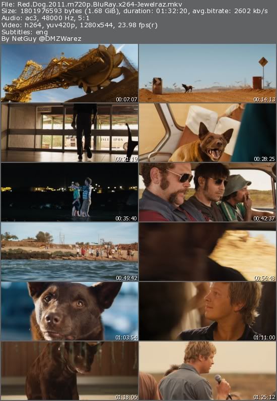 Red Dog (2011) m720p BluRay x264-Jewelraz Red Dog (2011) m720p BluRay x264-Jewelraz